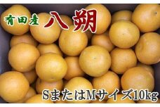 【手選果】有田産の八朔10kg（SまたはMサイズいずれかお届け）＜2026年1月下旬～2026年2月下旬頃に順次発送＞【tec845A】