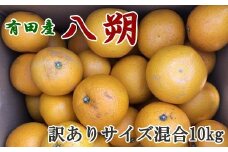 【手選果・訳あり】有田産の八朔10kg（サイズ混合）＜2026年1月下旬～2026年2月下旬頃に順次発送＞【tec847A】