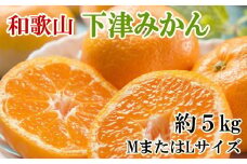 【産直・秀品】和歌山下津みかん約5kg(MサイズまたはLサイズのいずれかをお届け) ※2025年11月中旬～2026年1月中旬頃に順次発送【tec871A】