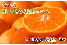 【濃厚・まろやか】有田産樹上越冬完熟みかん5kg（L～2Lサイズ混合・秀品）
 【tec874A】