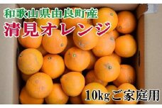 【訳あり・ご家庭用】和歌山由良町産の濃厚清見オレンジ約10kg　※2026年2月中旬～2026年2月下旬頃（お届け日指定不可）【tec877A】