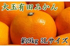 【食べごたえ十分】有田みかん大玉約9kg（3Lサイズ・秀品）　※2025年11月中旬～2026年1月中旬頃順次発送予定（お届け日指定不可）【tec879A】