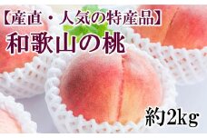 【産直・人気の特産品】和歌山の桃　約2kg・秀品　※2025年6月下旬～8月上旬頃順次発送【tec910A】