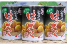 和歌山産手剥き八朔缶詰450g×8缶入り 【tec912A】