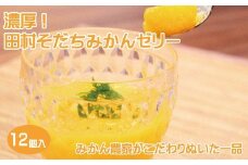 濃厚！田村そだちみかんゼリー【uot100】