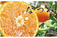 初夏のみかん　なつみ5kg【予約】※2026年4月中旬頃～2026年4月下旬頃に順次発送予定(お届け日指定不可)【uot501-2】