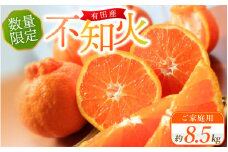 【ご家庭用】紀州有田産 不知火(しらぬひ) 約8.5kg 【予約】 訳あり ※2026年2月中旬頃〜2026年3月中旬頃に順次発送予定(お届け日指定不可) 不知火 みかん ミカン 柑橘 果物 フルーツ【uot507A】