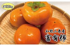和歌山秋の味覚　富有柿　約7.5kg　※2025年11月上旬頃〜2025年12月上旬頃に発送（お届け日指定不可） / 果物 フルーツ 柿 旬 人気 先行予約【uot702A】