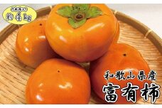 和歌山秋の味覚　富有柿　約4kg　化粧箱入　※2025年11月上旬頃〜2025年12月上旬頃に発送（お届け日指定不可） / 果物 フルーツ 柿 旬 人気 先行予約【uot703】