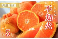 紀州有田産不知火(しらぬひ) 約5kg　※2026年2月中旬頃〜2026年3月中旬頃発送【uot709A】