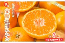 【先行予約受付　有田ミカン】紀州有田産　濃厚完熟温州みかん　3kg（ＭサイズまたはＳサイズ）※2025年11月下旬頃〜2026年1月下旬頃に順次発送予定(お届け日指定不可)【uot713】