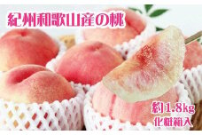 紀州和歌山産の桃 約1.8kg 化粧箱入 ※2025年6月下旬～2025年8月上旬頃順次発送（お届け日指定不可）/ 先行予約 桃 もも モモ フルーツ 果物 くだもの 人気 旬 和歌山【uot720-2】