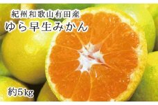 紀州和歌山 有田産 ゆら早生みかん 5㎏ ※2025年10月中旬頃～2025年10月末頃順次発送（お届け日指定不可）/ みかん ミカン 蜜柑 柑橘 早生 フルーツ 果物 くだもの 和歌山【uot721】