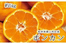 紀州和歌山有田産ポンカン　5㎏	※2026年2月上旬頃～2026年2月下旬頃に順次発送（お届け日指定不可）【uot722】