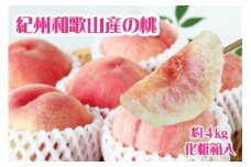 紀州和歌山産の桃 約4kg 化粧箱入　※2025年6月下旬～2025年8月上旬頃順次発送（お届け日指定不可）/ 先行予約 桃 もも モモ フルーツ 果物 くだもの 人気 旬 和歌山【uot723A】