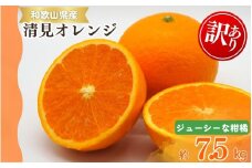 【ご家庭用訳アリ】紀州有田産 清見オレンジ 7.5kg  ※2026年3月下旬頃〜2026年4月中旬頃に順次発送予定(お届け日指定不可) / オレンジ みかん ミカン 蜜柑 柑橘 フルーツ 果物 くだもの 和歌山【uot730】