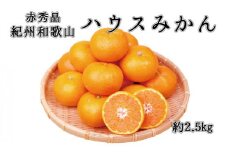 赤秀品　紀州和歌山ハウスみかん2.5kg【予約】※2026年6月下旬頃～7月下旬頃に順次発送予定(お届け日指定不可)【uot735A】