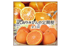 【3か月定期便】たっぷり届く♪訳ありみかんの定期便　温州みかん・不知火・清見オレンジ【tkb113】