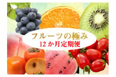 【12か月定期便】わかやま野菜＆フルーツの極み定期便！人気の柑橘はもちろん、桃・トマト・柿など旬にお届け♪【tkb118】