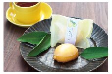 レモンケーキ 12個入り 爽やかな香り！マイヤーレモン使用 スイーツ 菓子 お菓子 ギフト【fks110A】