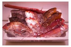 ＼朝どれ新鮮／ 鮮魚セット (大) 約4～5kg前後  目利きのプロが厳選した旬の魚をその日の内に発送！【nss405】