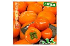 【ご家庭用わけあり】和歌山秋の味覚 平核無柿（ひらたねなしがき）3.5kg / 柿 かき 果物 くだもの フルーツ 和歌山【uot740】