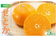 ≪3月10日までの受付 大好評により期間延長！≫【3月13日までに発送いたします！】＼光センサー選別／【訳あり】ちょこっと訳ありせとか 約5kg【ご家庭用】 ※2024年2月下旬より順次発送予定（お届け日指定不可） / せとか みかん 訳あり ミカン 蜜柑 果物 柑橘【nuk124A-r】