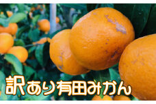 【数量限定】ご家庭用訳あり有田みかん　10kg【ard001A】