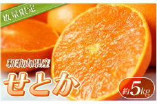 【ご家庭用訳あり】紀州和歌山産 せとか 約5kg【先行予約】※2026年2月上旬頃〜2026年3月中旬頃発送予定（お届け日指定不可） せとか みかん ミカン 柑橘 フルーツ 果物 くだもの【uot748A】