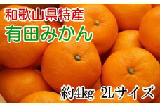 [秀品]和歌山有田みかん約4kg(2Lサイズ) ※2025年11月上旬～2026年1月下旬頃に順次発送予定（お届け日指定不可） 【tec915A】