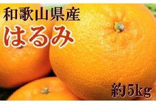 【大玉】和歌山県産はるみ約5kg(3L～5Lサイズおまかせ・ご家庭用)【tec917】