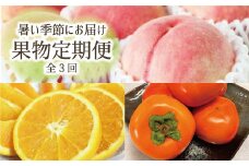 【全3回定期】便暑い季節にお届け！果物定期便　バレンシアオレンジ・桃・柿　旬のフルーツをお届け♪【tkb142】