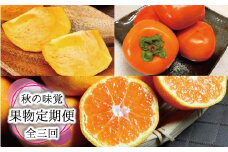【全3回定期便】秋の味覚 果物定期便　柿・みかん　旬のフルーツを毎月お届け♪ひらたねなし柿・富有柿・田村みかん【tkb130】