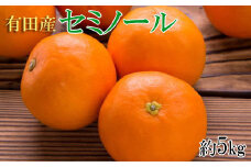 和歌山有田産セミノールオレンジ約5kg(サイズおまかせ　秀品) 【tec921】