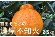 【先行予約】有田育ちの濃厚不知火(ご家庭用)(通称デコポン)　約2.5kg【ard020A】