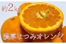 【みかん名産地和歌山有田】濃厚なつみオレンジ(ご家庭用)約2kg【ard035A】