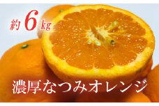 【みかん名産地和歌山有田】濃厚なつみオレンジ(ご家庭用) 約6kg【ard036A】
