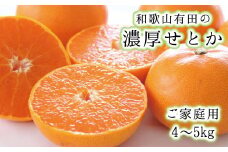 和歌山有田の濃厚せとか　約4～5kg(ご家庭用)　※2025年2月中旬～3月上旬順次発送予定【ard008A】