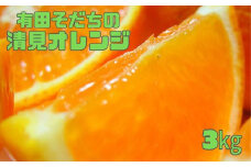 【2025年2月下旬～3月下旬順次発送予定】有田育ちの完熟清見オレンジ(ご家庭用)　約3kg【ard016A】