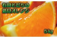 【2025年2月下旬～3月下旬順次発送予定】有田育ちの完熟清見オレンジ(ご家庭用)　約5kg【ard017A】