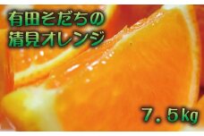 【2025年2月下旬～3月下旬順次発送予定】有田育ちの完熟清見オレンジ(ご家庭用)　約7.5kg【ard018A】