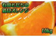 【2023年3月上旬～発送】有田育ちの清見オレンジ(ご家庭用)　約10kg【ard019A】