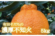 【先行予約】有田育ちの濃厚不知火(ご家庭用)(通称デコポン)　約5kg【ard021A】
