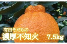 【先行予約】有田育ちの濃厚不知火(ご家庭用)(通称デコポン)　約7.5kg【ard022A】