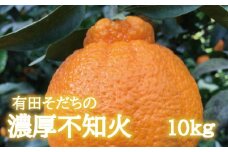 【先行予約】有田育ちの濃厚不知火(ご家庭用)(通称デコポン)　約10kg【ard023A】