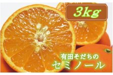 【2025年4月より順次発送】有田育ちの爽快セミノールオレンジ(ご家庭用)　約3kg【ard024A】
