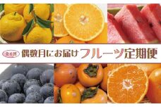 【全6回定期便】偶数月にお届け♪和歌山のフルーツ堪能定期便！不知火・木成り八朔・すいか・巨峰・たねなし柿・有田みかん【tkb133】
