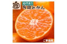 【先行予約】家庭用有田みかん サイズ混合(2S～2L) 5kg+250g  ※11月より発送 (完熟)【わけあり・訳あり】【光センサー選果】※北海道・沖縄・離島配送不可 / みかん くだもの フルーツ 柑橘 果物【ikd007C】