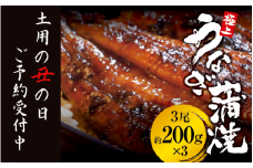 【土用の丑の日】予約受付中！極上 国産うなぎ蒲焼 3尾（約600g） 創業100年以上続く老舗 紀州備長炭でじっくり焼き上げた専門店の味 （タレ・山椒付き）/ うなぎ ウナギ 鰻 蒲焼 国産 ふるさと納税 先行予約【skr003A-dy】