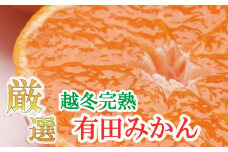 厳選　越冬完熟みかん1.5kg+45g（傷み補償分）【ハウスみかん】【光センサー選別】＜1月中旬より順次発送予定＞【ikd012A】